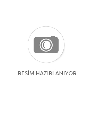 VİOLA OMBRE PALETİ
